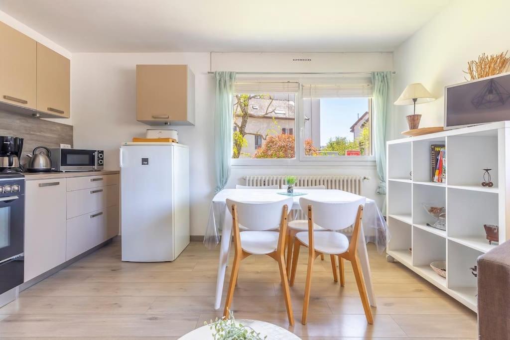 Appart Cosy Annecy Parking Et Velos Gratuit Buitenkant foto