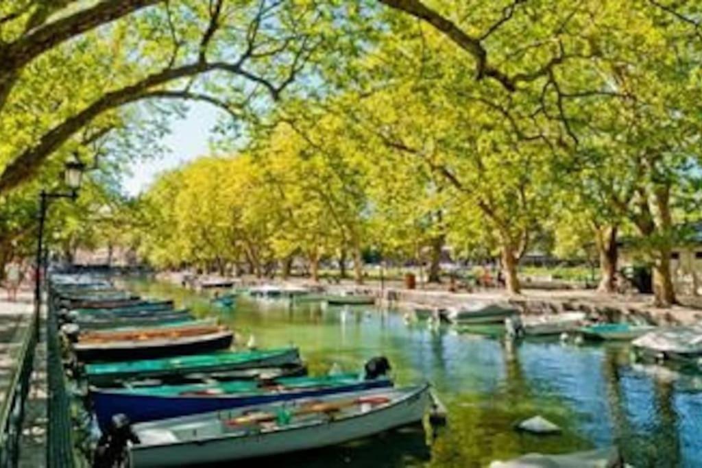 Appart Cosy Annecy Parking Et Velos Gratuit Buitenkant foto